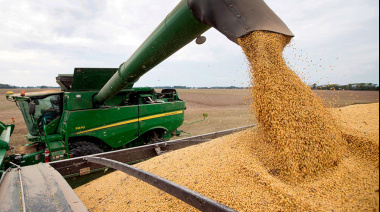 Louis Dreyfus fue la cerealera que más se benefició con las retenciones cero