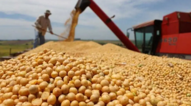 Productores exigen a Milei la baja inmediata y definitiva de las retenciones