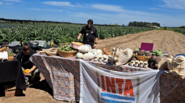 En la antesala de la ExpHortar se realizó una degustación de alcauciles a campo abierto