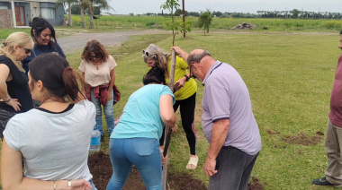 Plantaron árboles nativos en la Plaza Marino Astun