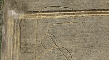 Aparecieron misteriosas marcas en dos campos santafesinos