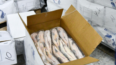 Santa Fe suspenderá por un año el acopio de pescado para exportación