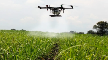 Prohíben fumigar con drones en Entre Ríos tras denuncia por “daño genotóxico” a niña