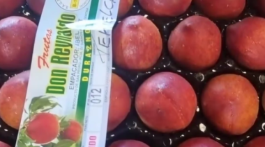 Salen a la venta los primeros duraznos Tehuelche INTA producidos en San Pedro