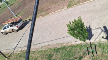 Detectan nuevo loteo enganchado de la red de EPE