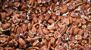 Incorporan nuevos orujos, salvados y harinas comestibles al Código Alimentario