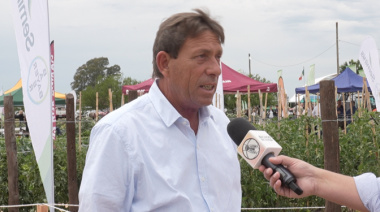 Cómo el ingreso de alimentos importados está afectando la producción hortícola local