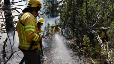 Bomberos Zapadores de Santa Fe combaten incendios forestales en el sur del país