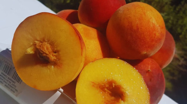 Las nuevas variedades de durazno producidas en San Pedro llegaron al mercado