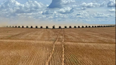 Cosecha récord: 90 cosechadoras levantaron la soja en un lote de Brasil