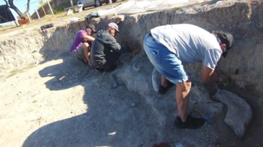 Hallan en San Pedro los restos de un mamífero que vivió hace 200 mil años