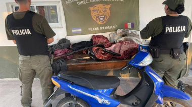 "Los Pumas" incautaron más de 300 kilos de carne vacuna de dudosa procedencia