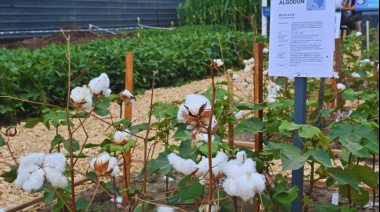 Arrancó Expoagro y el INTA despliega su apuesta tecnológica