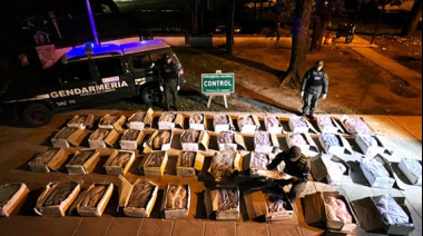 Detectaron un camión que transportaba una tonelada de sábalos sin cadena de frío