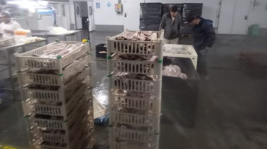 Detectaron irregularidades en frigoríficos pesqueros de Arroyo Seco y Coronda