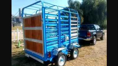 El Ejecutivo planteó la urgencia de contar con un carro apto para el traslado de equinos
