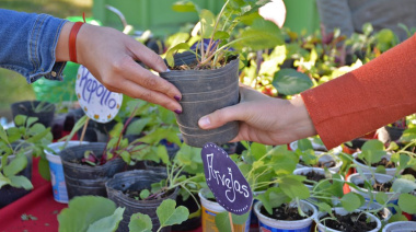 Nueva jornada de Eco Canje en la Plaza 9 de Julio