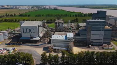 Dreyfus anunció que construirá una planta de molienda de soja y girasol en Bahía Blanca