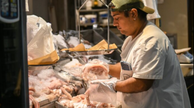 Carnet de manipulación de alimentos: El curso comienza el 20 de julio