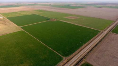 Ley de Tierras: cómo regulan Brasil, Uruguay y Paraguay la compra de campos por extranjeros