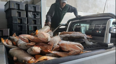 Fuertes operativos contra la pesca ilegal en Santa Fe