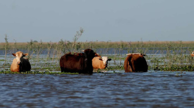 Pronostican que en Santa Fe la crecida del Paraná podría darse a mediados de agosto