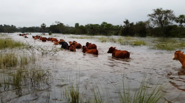 Tenes un campo, camiones o forraje disponible? Hacé tu oferta