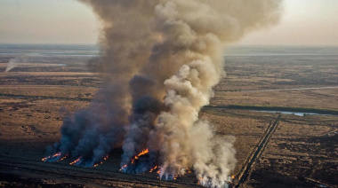 Zona de islas: Detectaron focos de fuego a la altura de Arroyo Seco y San Lorenzo