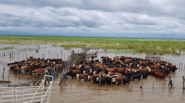 Súper Niño: alertan por posible crecida histórica del Río Paraná