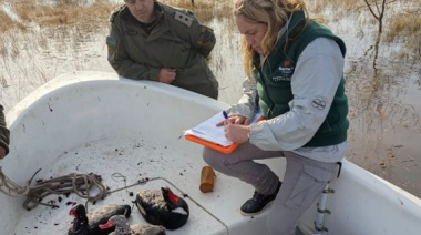 Santa Fe digitalizó las licencias de pesca y este año ya emitió más de 9.000