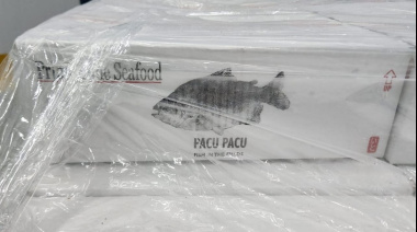 Argentina continúa exportando pacú chaqueño hacia los Estados Unidos