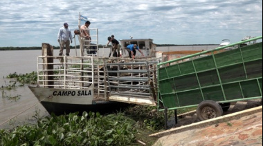 Ya se evacuó más del 70 % de la hacienda en islas