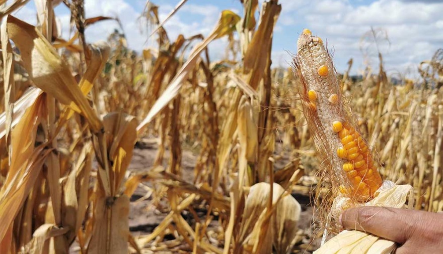 Advierten el regreso de "La Niña": En qué zonas impactará