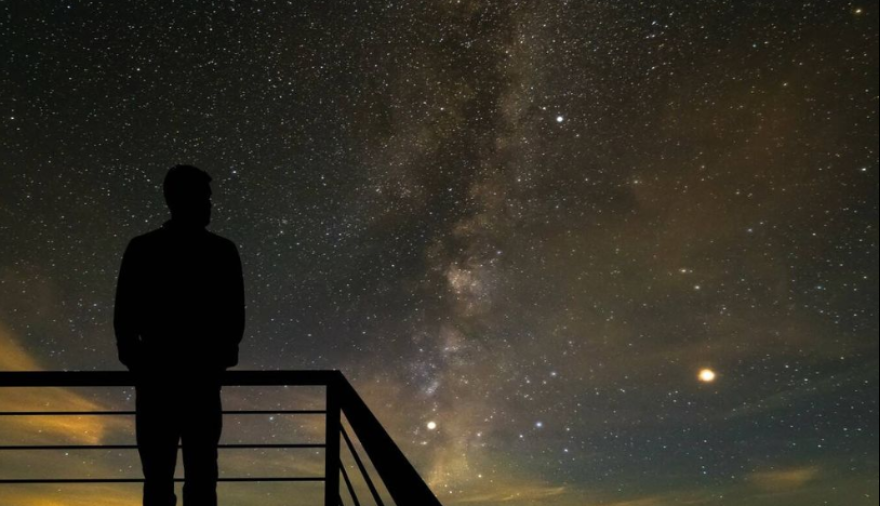 Luna Nueva en Escorpio: “Toda semilla necesita oscuridad para romperse y nacer”