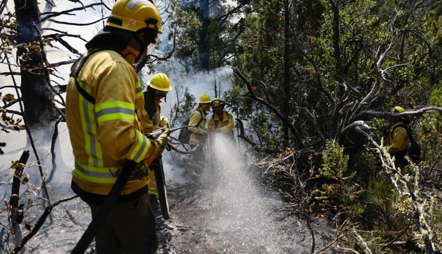 Bomberos Zapadores de Santa Fe combaten incendios forestales en el sur del país
