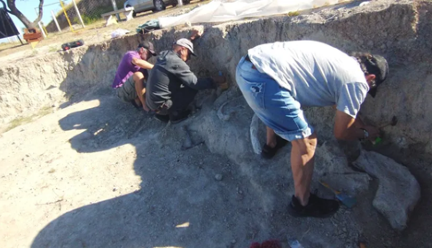 Hallan en San Pedro los restos de un mamífero que vivió hace 200 mil años