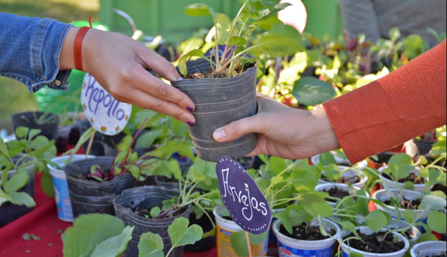 Este viernes habrá Eco Canje en la Plaza 9 de Julio
