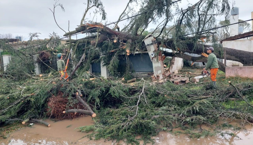 Provincia asiste a las localidades de Las Rosas y San Genaro tras el temporal