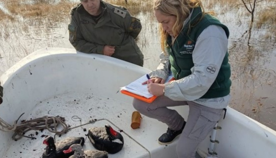Santa Fe digitalizó las licencias de pesca y este año ya emitió más de 9.000