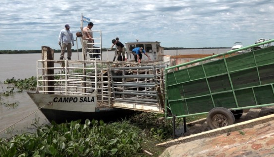 Ya se evacuó más del 70 % de la hacienda en islas