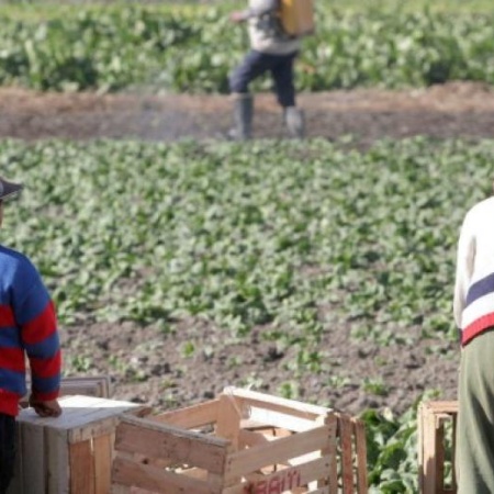 Santa Fe y la OIT delinearon acciones conjuntas para la erradicación del trabajo infantil
