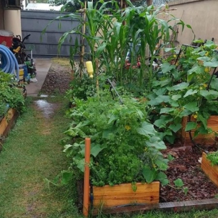 Abren inscripción a curso de Huerta Orgánica y Compost