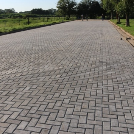 El Concejo Municipal aprobó una nueva etapa del plan de adoquinado e incorporó la calle Pastinante