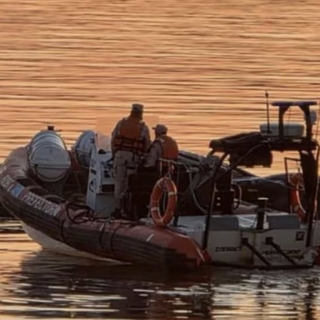 Apareció una ballena en el río Paraná y creen que está agonizando