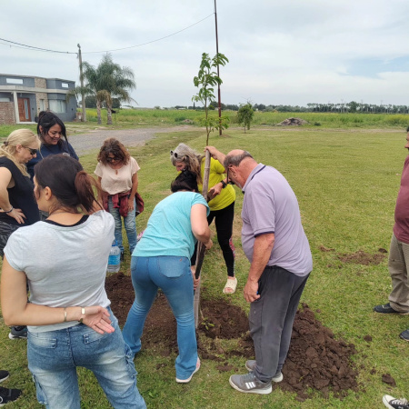 Plantaron árboles nativos en la Plaza Marino Astun
