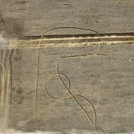 Aparecieron misteriosas marcas en dos campos santafesinos