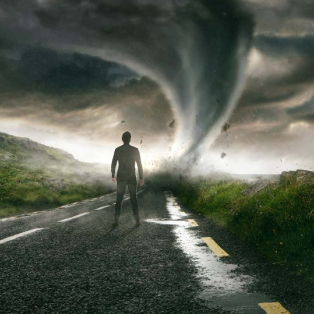 Semana del 2 al 8 de Noviembre: Cuando el Deseo Choca contra la Realidad