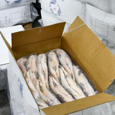 Santa Fe suspenderá por un año el acopio de pescado para exportación