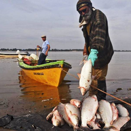 Tras suspender las exportaciones la Provincia se reunió con pescadores y frigoríficos