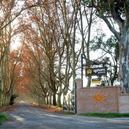 Robo comando dentro de un barrio cerrado en Fighiera